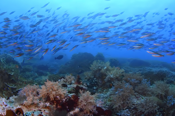 視覺圖像.png 視覺圖像.png