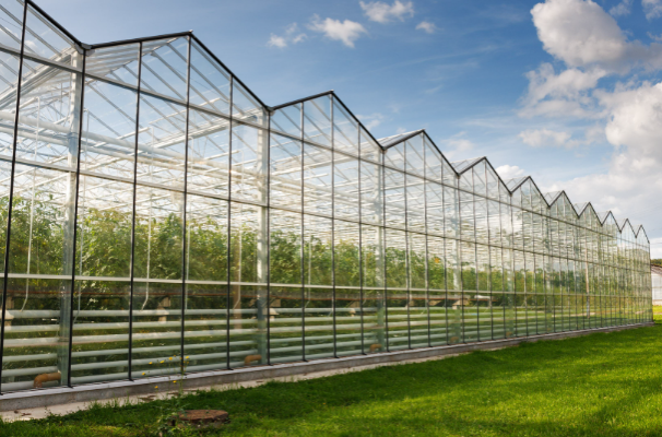 智慧農(nóng)業(yè)大棚.png 智慧農(nóng)業(yè)大棚.png