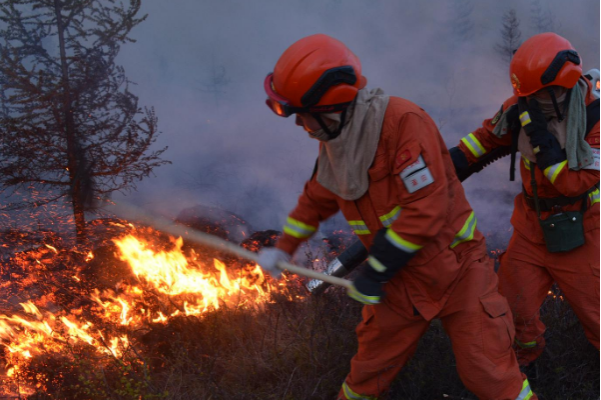 森林火警.png 森林火警.png